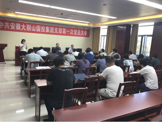 國(guó)投集團(tuán)成立黨組織