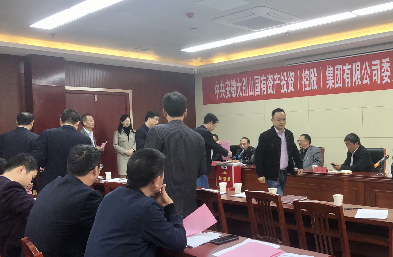 大別山國投集團(tuán)黨委、紀(jì)委正式成立