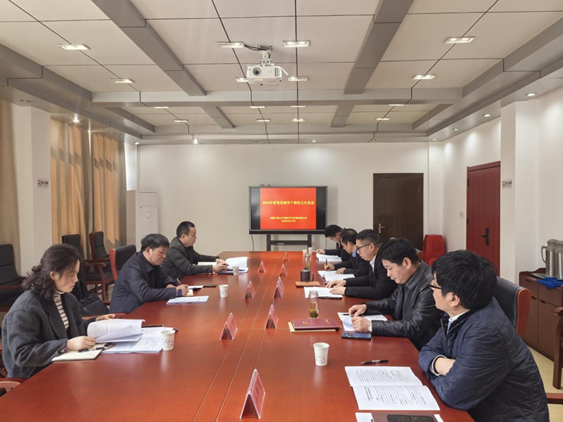 鄉(xiāng)村振興公司召開2024年度黨員領導干部民主生活會