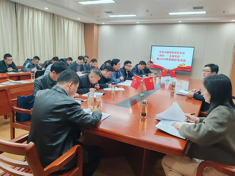 大別山國投集團(tuán)黨支部召開2024年度組織生活會(huì)
